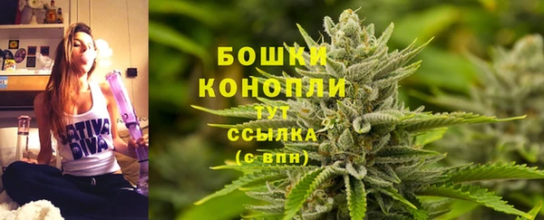 сатива Семёнов